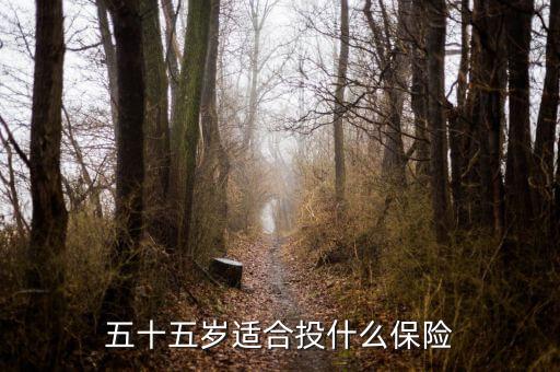 五十五歲適合投什么保險(xiǎn)