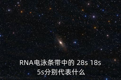 中能國(guó)研是什么，在HTML中content是什么意思