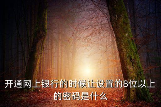 銀行八位已上的密碼是什么地方有，開通網(wǎng)上銀行的時候讓設(shè)置的8位以上的密碼是什么