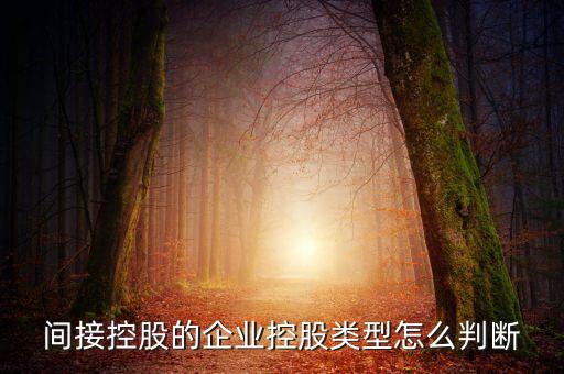 間接持股是什么意思，間接是什么意思
