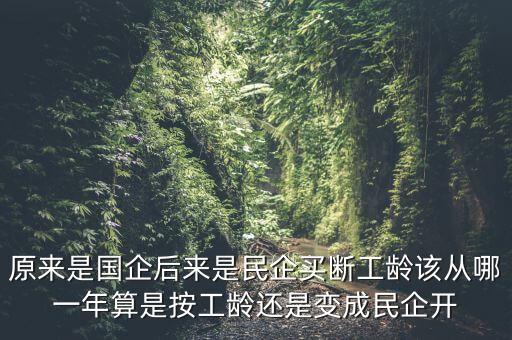 廣西貴糖什么時候變私企，廣西在什么時候開始變得落后起來的原因是