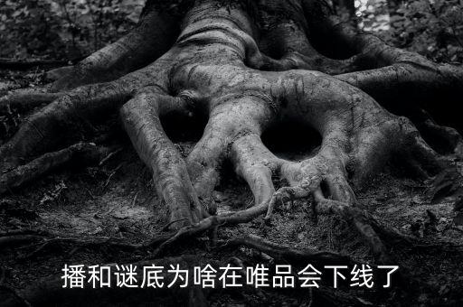 風(fēng)行電視為什么在唯品會下架，風(fēng)行網(wǎng)絡(luò)電視怎么了