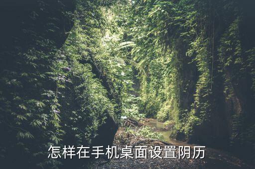 怎樣在手機(jī)桌面設(shè)置陰歷