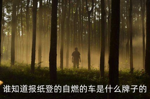 延安路轎車自燃什么牌子的車，誰知道報紙登的自燃的車是什么牌子的