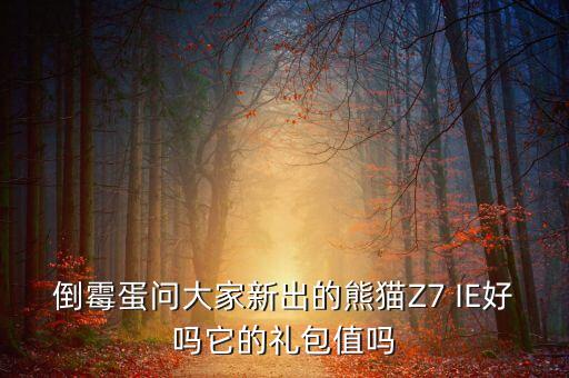 倒霉蛋問大家新出的熊貓Z7 IE好嗎它的禮包值嗎