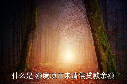 什么是 額度項下未清償貸款余額