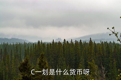 c加一豎是什么幣種，C一劃是什么貨幣
