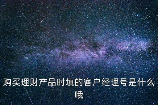 理財經(jīng)理號是什么意思，請問各位高人購買基金時輸入理財經(jīng)理號指的是什么號啊