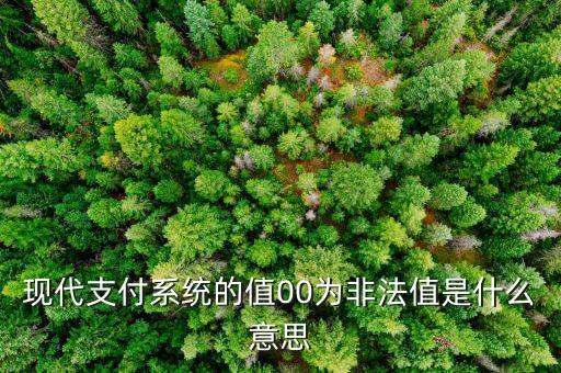 你會(huì)支付系統(tǒng)非法是什么意思，掌上銀行esrese支付系統(tǒng)非法什么意思