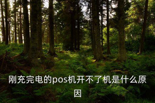 剛充完電的pos機開不了機是什么原因
