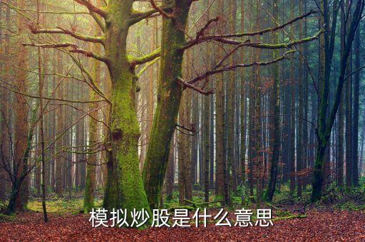 股票模擬交易是什么意思，模擬炒股是什么意思