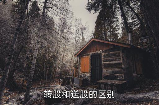 股票送股和轉股有什么區(qū)別，股票送股與轉股有何區(qū)別