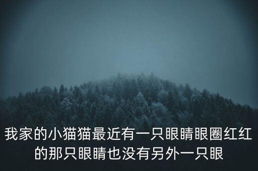 為什么不能播放郎經(jīng)財(cái)眼問(wèn)題疫苗節(jié)目，我家的小貓貓最近有一只眼睛眼圈紅紅的那只眼睛也沒(méi)有另外一只眼