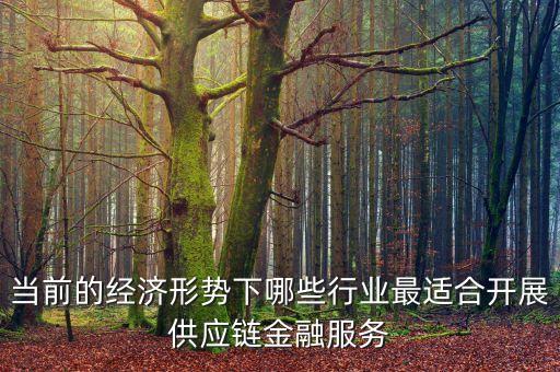 什么行業(yè)不適合產(chǎn)業(yè)鏈金融服務(wù)，產(chǎn)業(yè)鏈金融是什么