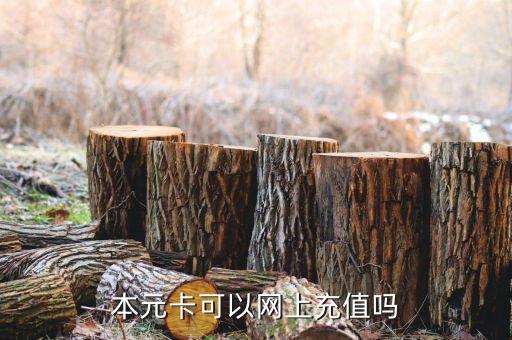 本元卡可以網上充值嗎