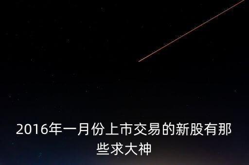2016年1月25號什么新股上市，2016年一月份上市交易的新股有那些求大神
