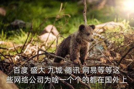 盛大為什么上市，百度 盛大 九城 騰訊 網(wǎng)易等等這些網(wǎng)絡(luò)公司為啥一個個的都在國外上