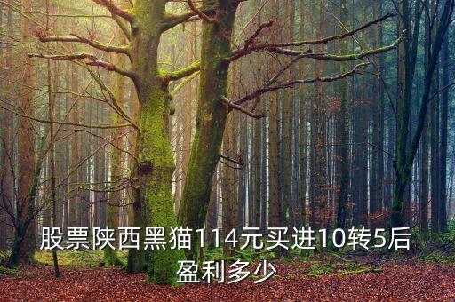 股票陜西黑貓114元買進10轉5后盈利多少