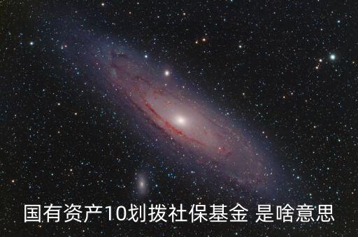 國有資產10劃撥社?；?是啥意思
