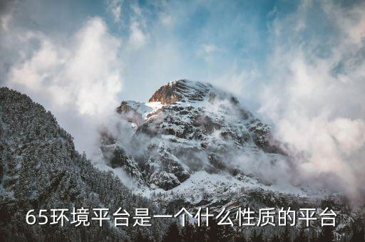 65環(huán)境平臺是一個(gè)什么性質(zhì)的平臺