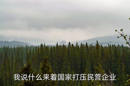 中國(guó)為什么打壓民企，我說什么來(lái)著國(guó)家打壓民營(yíng)企業(yè)