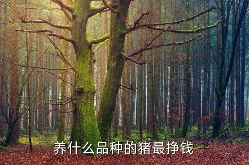 養(yǎng)殖什么豬利潤高，養(yǎng)什么品種的豬最掙錢