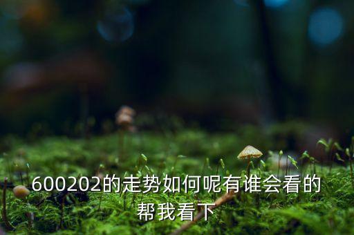 600202有什么概念，誰能幫我分析一下600202