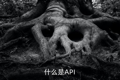 什么是API