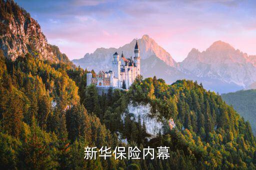 新華保險康典為什么會辭職，原新華保險董事長康典上哪兒去了