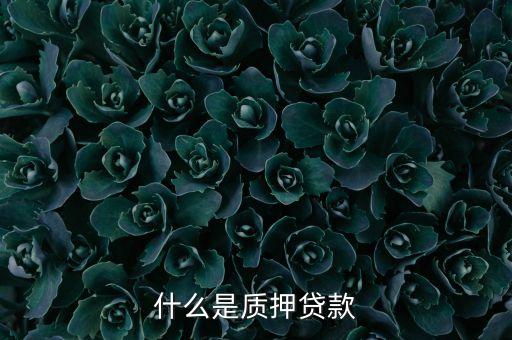 銀行質(zhì)押貸款是什么意思，什么是質(zhì)押貸款