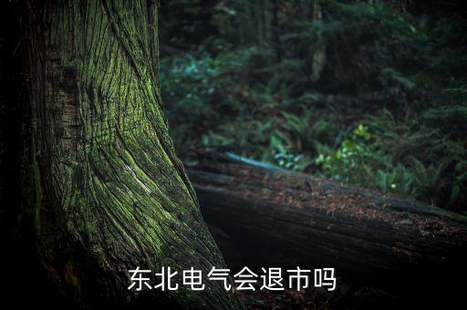 東北電氣為什么虧損，我考上了東北電力大學但感覺有些虧才是去上早就業(yè)還是補習考個更