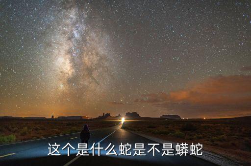 這個(gè)是什么蛇是不是蟒蛇