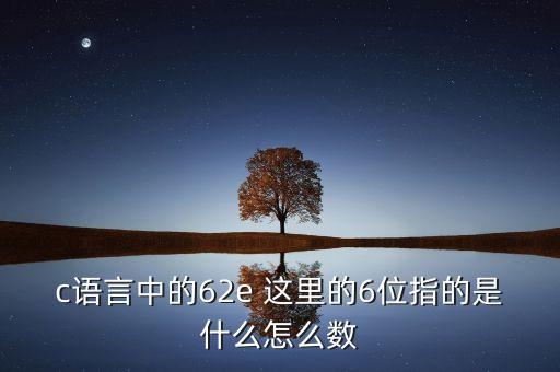 什么是dde散戶數(shù)量，c語(yǔ)言中的62e 這里的6位指的是什么怎么數(shù)