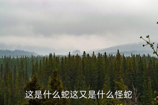 花旗蛇是什么蛇，這個是什么蛇是不是蟒蛇