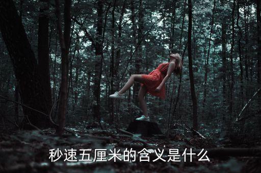 秒速五厘米的含義是什么