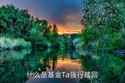 基金強贖是什么意思，什么是基金Ta強行贖回
