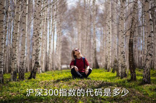 l2數(shù)據(jù)中滬深300代碼是什么，滬深300指數(shù)的代碼是多少