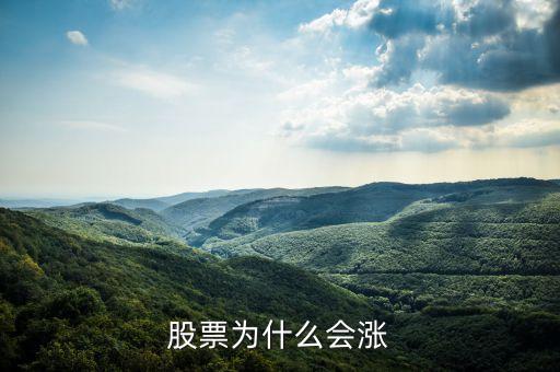 股票為什么上漲，為什么股票會(huì)漲