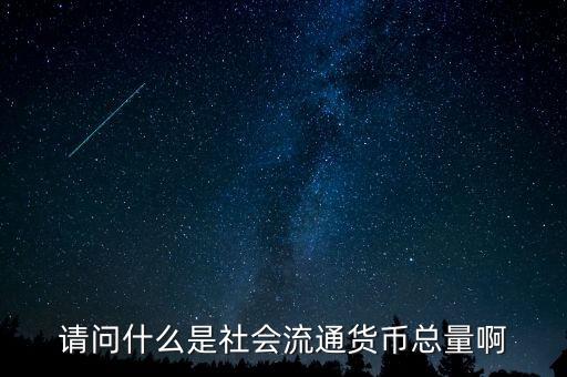 什么是貨幣總量，請問什么是社會流通貨幣總量啊