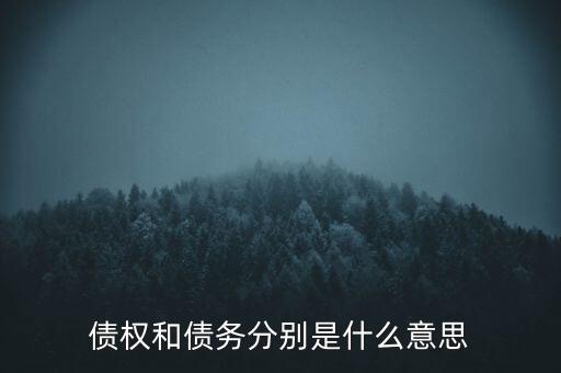 bsp票款債權(quán)是什么，銀行理財業(yè)務(wù)里面的liborbsp是什么意思