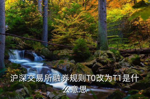 滬深交易所融券規(guī)則T0改為T(mén)1是什么意思