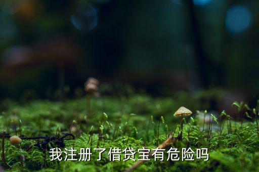 在借貸寶注冊賬戶有什么危害，注冊借貸寶有什么風險