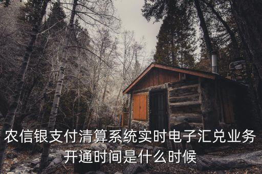 什么是特約電子匯兌，各位大神請問有誰知道建行卡交易明細(xì)清單上寫的特約匯融