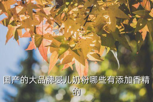 什么牌子奶粉有香蘭素，德國(guó)2加愛他美里有香蘭素嗎