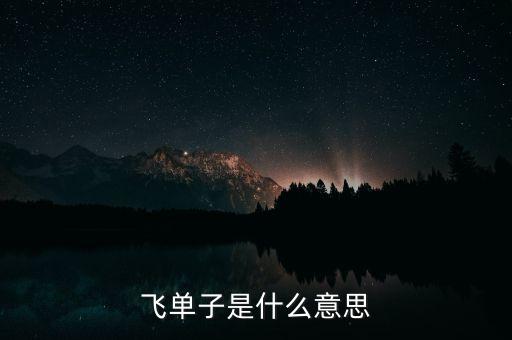 銷售飛單是什么意思，飛單是什么意思呢