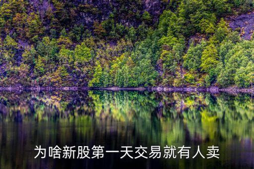 新股為什么有人賣，很好奇為什么新股一上市就會有人賣股票真的