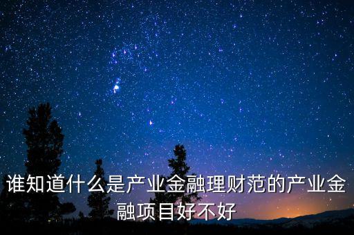 誰知道什么是產(chǎn)業(yè)金融理財(cái)范的產(chǎn)業(yè)金融項(xiàng)目好不好