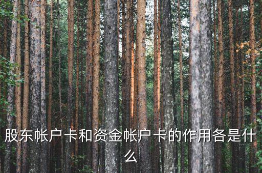 股票資金帳戶卡是什么，股票資金賬戶卡是什么樣的