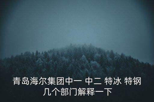 海爾內(nèi)銷是什么意思，有帶鎖的冰箱么冷藏冷凍功能都要有的謝謝