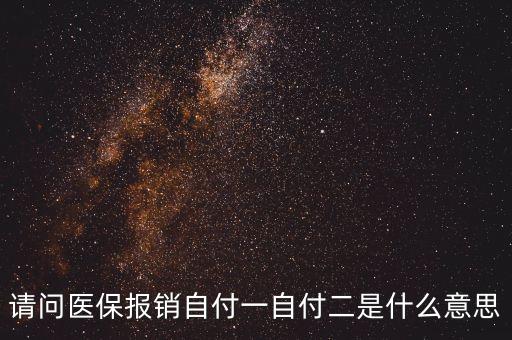 請問醫(yī)保報(bào)銷自付一自付二是什么意思
